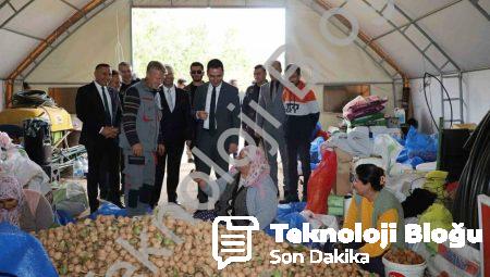 Afyonkarahisar Dinar’da ceviz hasadı bereketle başladı