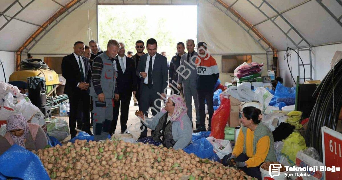 "Afyonkarahisar Dinar’da ceviz hasadı bereketle başladı" başlıklı haber için fotorealistik, profesyo