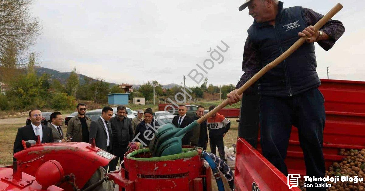 AFYONKARAHİSAR'IN DİNAR İLÇESİNDE CEVİZ HASADI BAŞLARKEN, REKOLTENİN BU YIL ÇİFTÇİLERİ MEMNUN ETTİĞİ BELİRTİLDİ.