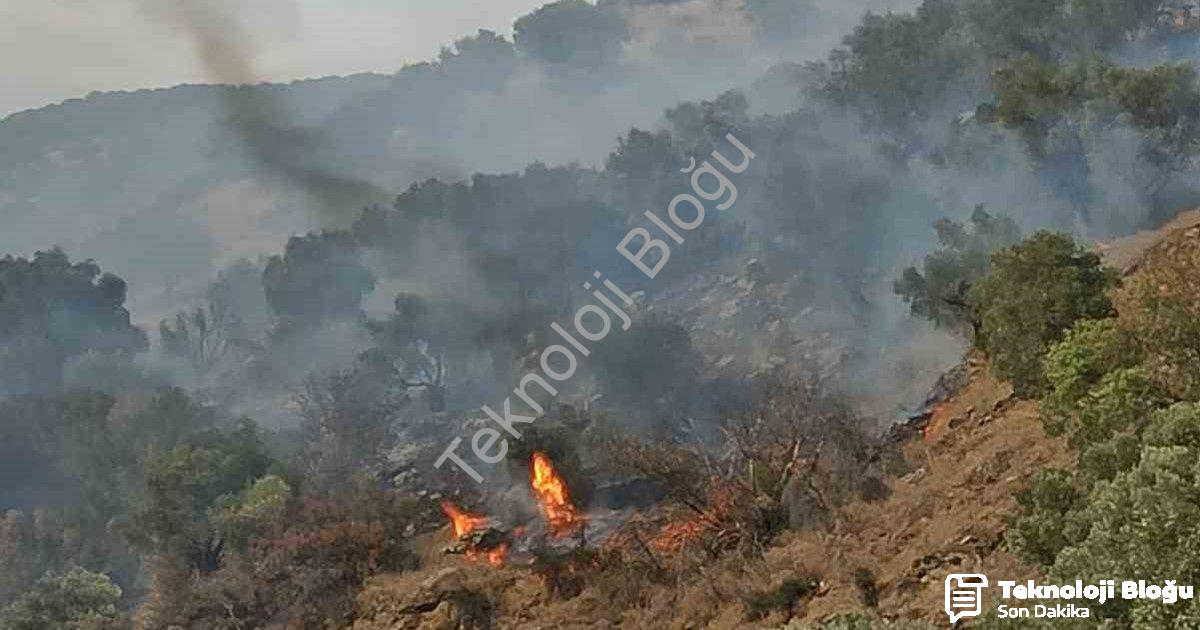 "Aydın Bozdoğan'da Orman Yangını: Ekipler Rüzgarla Mücadele Ediyor" başlıklı haber için fotorealisti
