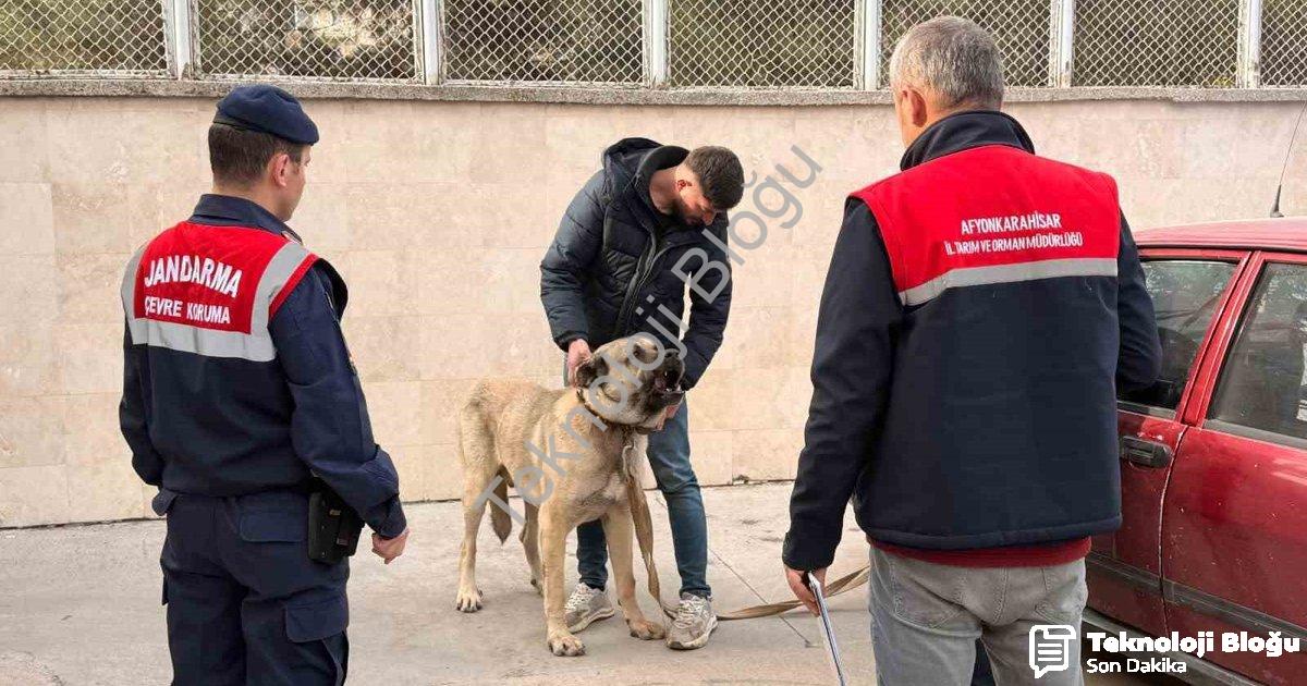 "Afyonkarahisar'da Dron Destekli Köpek Dövüşü Operasyonu: 12 Gözaltı" başlıklı haber için fotorealis