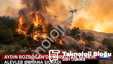 Aydın Bozdoğan’da Korkutan Yangın: Alevler Ormana Sıçradı