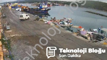 Didim’de Korku Dolu Anlar: Kontrolden Çıkan Araç Denize Gömüldü