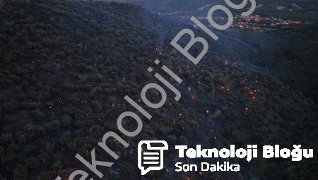 Aydın Bozdoğan’daki Orman Yangınında Sevindiren Gelişme: Alevler Kontrol Altında