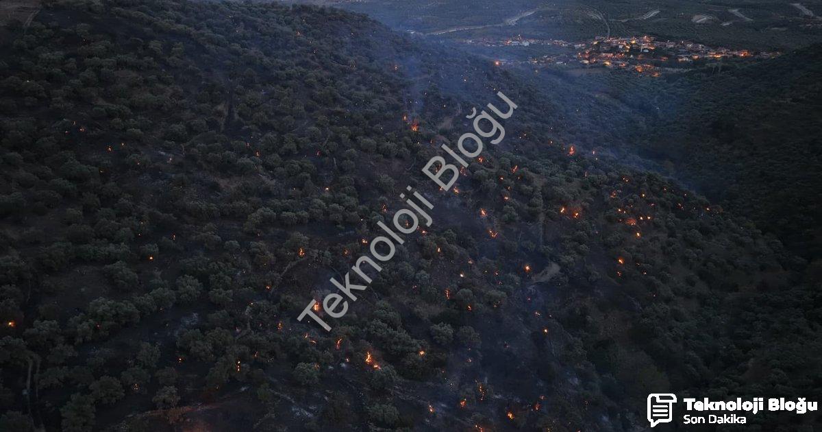 "Aydın Bozdoğan'daki Orman Yangınında Sevindiren Gelişme: Alevler Kontrol Altında" başlıklı haber iç