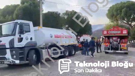 Aydın Bozdoğan’da Ziraat Alanında Başlayan Yangın Ormana Sıçradı