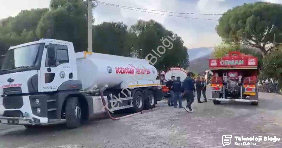 "Aydın Bozdoğan'da Ziraat Alanında Başlayan Yangın Ormana Sıçradı" başlıklı haber için fotorealistik