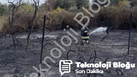 Muğla Yatağan’da Korkutan Yangın: Üzüm Bağları Alevlere Teslim Oldu