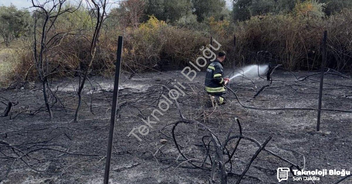 "Muğla Yatağan'da Korkutan Yangın: Üzüm Bağları Alevlere Teslim Oldu" başlıklı haber için fotorealis