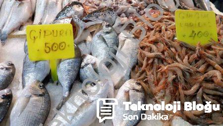 Foça Balık Hali’nde Kış Bereketi: Sardalya ve Uskumru Mevsimi Başladı