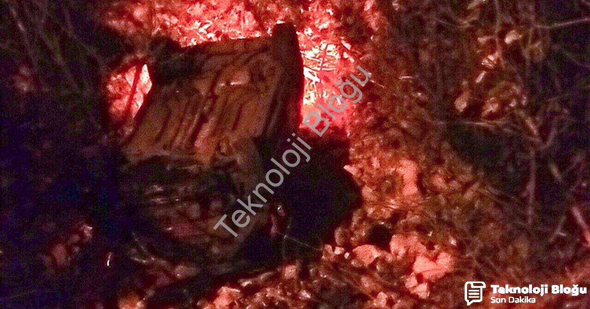 "Menteşe’de Korkutan Kaza: Araç Dereye Uçtu, Sürücü Yaralı" başlıklı haber için fotorealistik, profe