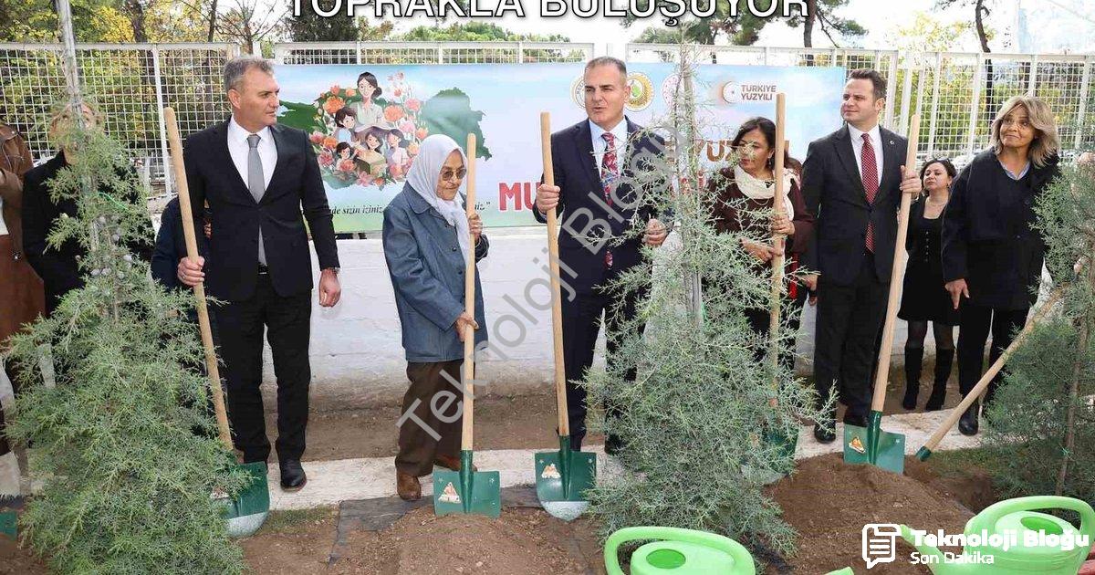 "Muğla’da Her Öğretmen İçin Bir Fidan Toprakla Buluşuyor" başlıklı haber için fotorealistik, profesy