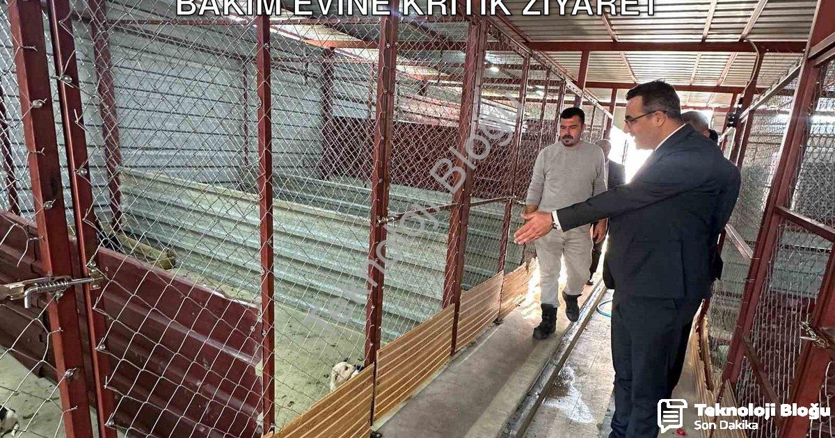 "Sarıgöl Kaymakamı Halil Dalak'tan Hayvan Bakım Evine Kritik Ziyaret" başlıklı haber için fotorealis