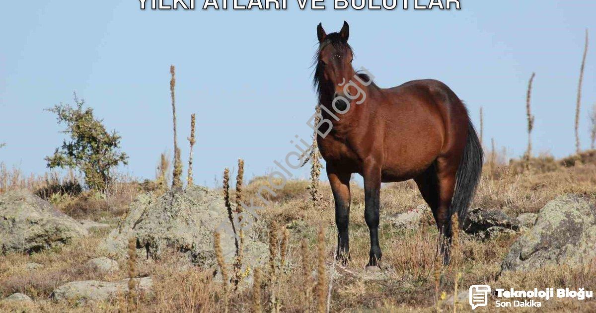 "Afyonkarahisar'da Büyüleyen Görüntü: Yılkı Atları ve Bulutlar" başlıklı haber için fotorealistik, p