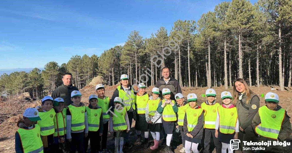 "Çine'de Öğrencilere Orman Sevgisi Aşılandı: Eğitim ve Fidan Dikimi" başlıklı haber için fotorealist