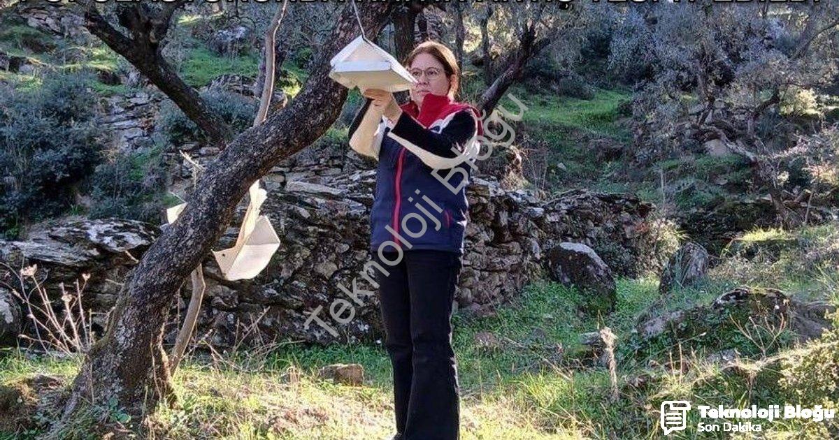 "Söke'de Tarımsal Alarm: Zararlı Popülasyonunda Kritik Artış Tespit Edildi" başlıklı haber için foto