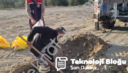 Buharkent’te Tarımsal İnovasyon: 2. Etap İlek Bahçesi İçin Toprak Analizleri Başladı