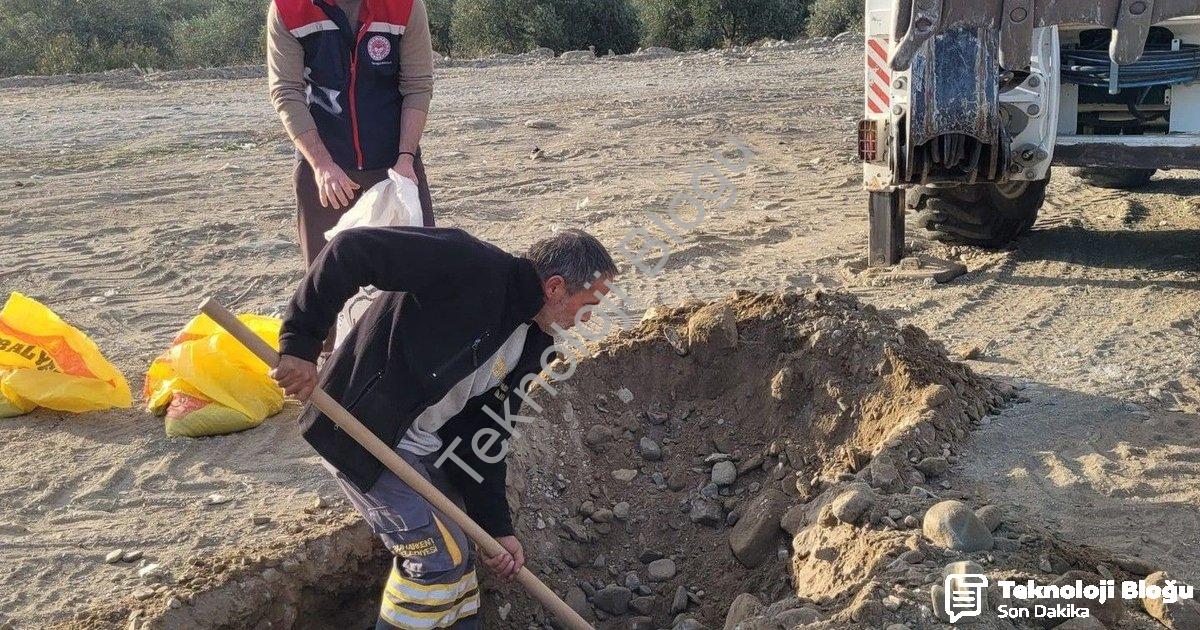 "Buharkent'te Tarımsal İnovasyon: 2. Etap İlek Bahçesi İçin Toprak Analizleri Başladı" başlıklı habe