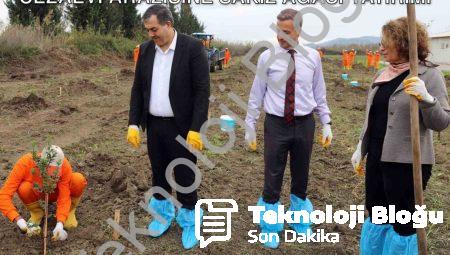 Dalaman’da Doğa ve İnsan Kazanıyor: Cezaevi Arazisine Sakız Ağacı Yatırımı