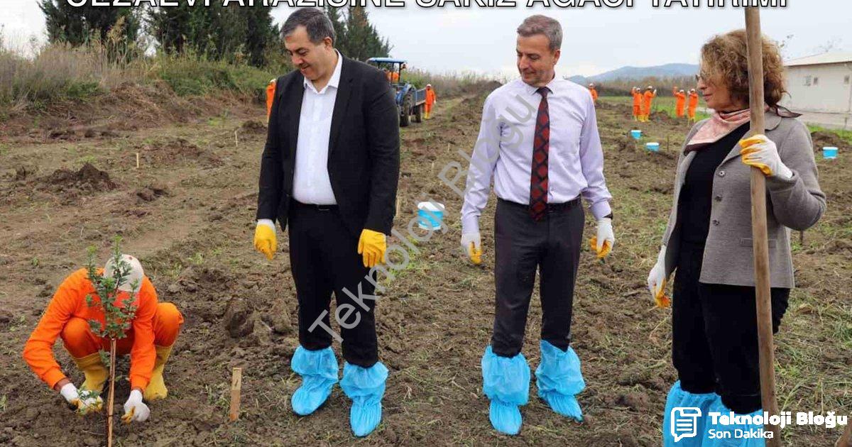 "Dalaman'da Doğa ve İnsan Kazanıyor: Cezaevi Arazisine Sakız Ağacı Yatırımı" başlıklı haber için fot