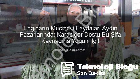 Enginarın Mucizevi Faydaları Aydın Pazarlarında: Karaciğer Dostu Bu Şifa Kaynağına Yoğun İlgi!
