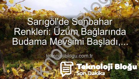 Sarıgöl’de Sonbahar Renkleri: Üzüm Bağlarında Budama Mevsimi Başladı, Manzara Büyülüyor!