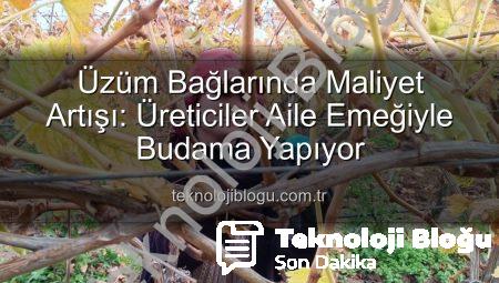 Üzüm Bağlarında Maliyet Artışı: Üreticiler Aile Emeğiyle Budama Yapıyor