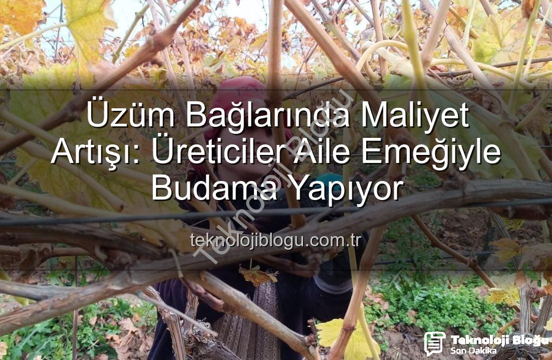 budama maliyeti - Üzüm Bağlarında Maliyet Artışı: Üreticiler Aile Emeğiyle Budama Yapıyor