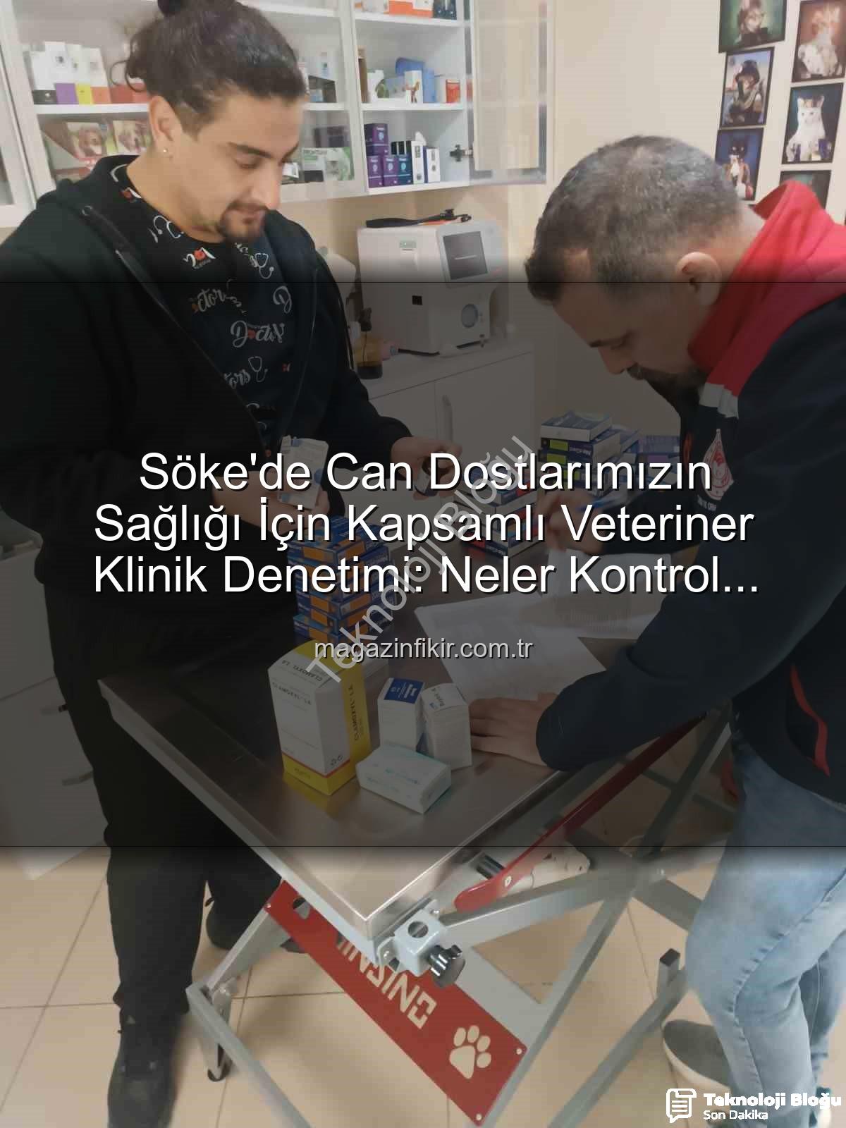 Söke veteriner klinik denetimi - Söke'de Veteriner Kliniklerine Kapsamlı Denetim: Hayvan Sağlığı ve Halk Sağlığı Önceliklendirildi