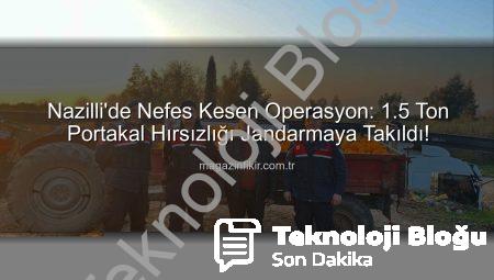 Nazilli’de Nefes Kesen Operasyon: 1,5 Ton Portakal Hırsızlığı Jandarmaya Takıldı, Şüpheliler Yakalandı!
