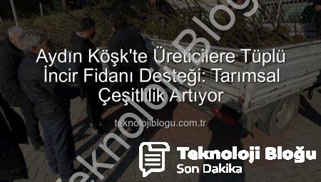 Aydın Köşk’te Üreticilere Tüplü İncir Fidanı Desteği: Tarımsal Çeşitlilik Artıyor