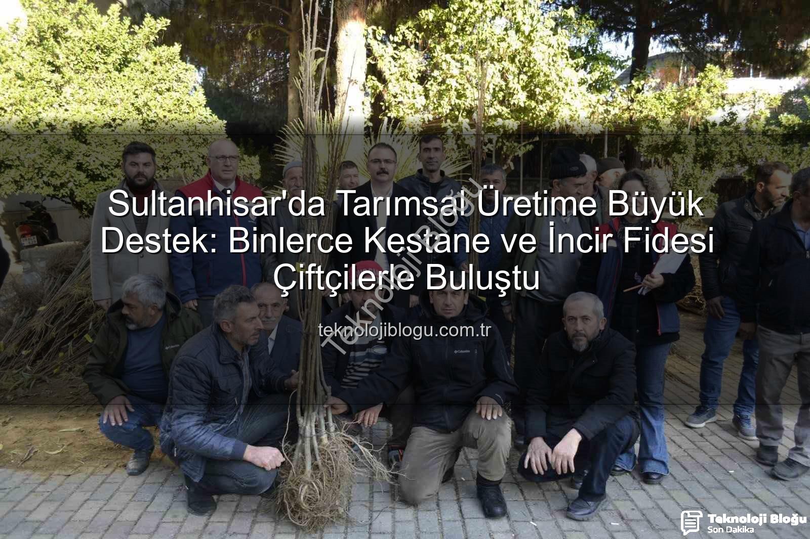 kestane incir fidesi - Sultanhisar'da Tarımsal Üretime Büyük Destek: Binlerce Kestane ve İncir Fidesi Çiftçilerle Buluştu