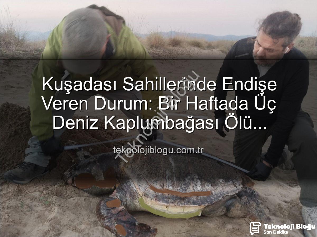 deniz kaplumbağası ölümleri - Kuşadası Sahillerinde Endişe Veren Durum: Bir Haftada Üç Deniz Kaplumbağası Ölü Bulundu