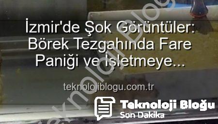 İzmir’de Şok Görüntüler: Börek Tezgahında Fare Paniği ve İşletmeye Mühür!