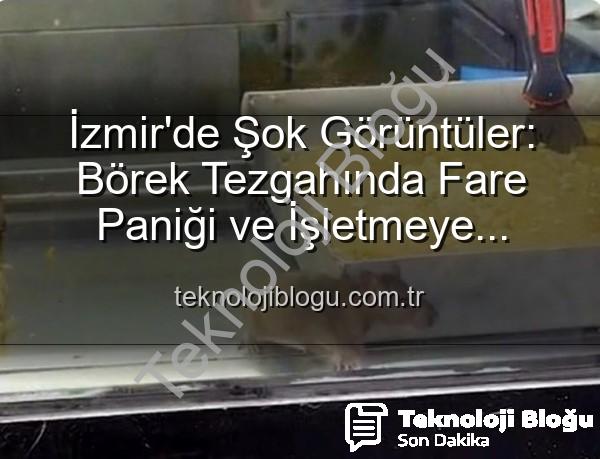 börek tezgahında fare - İzmir'de Şok Görüntüler: Börek Tezgahında Fare Paniği ve İşletmeye Mühür!