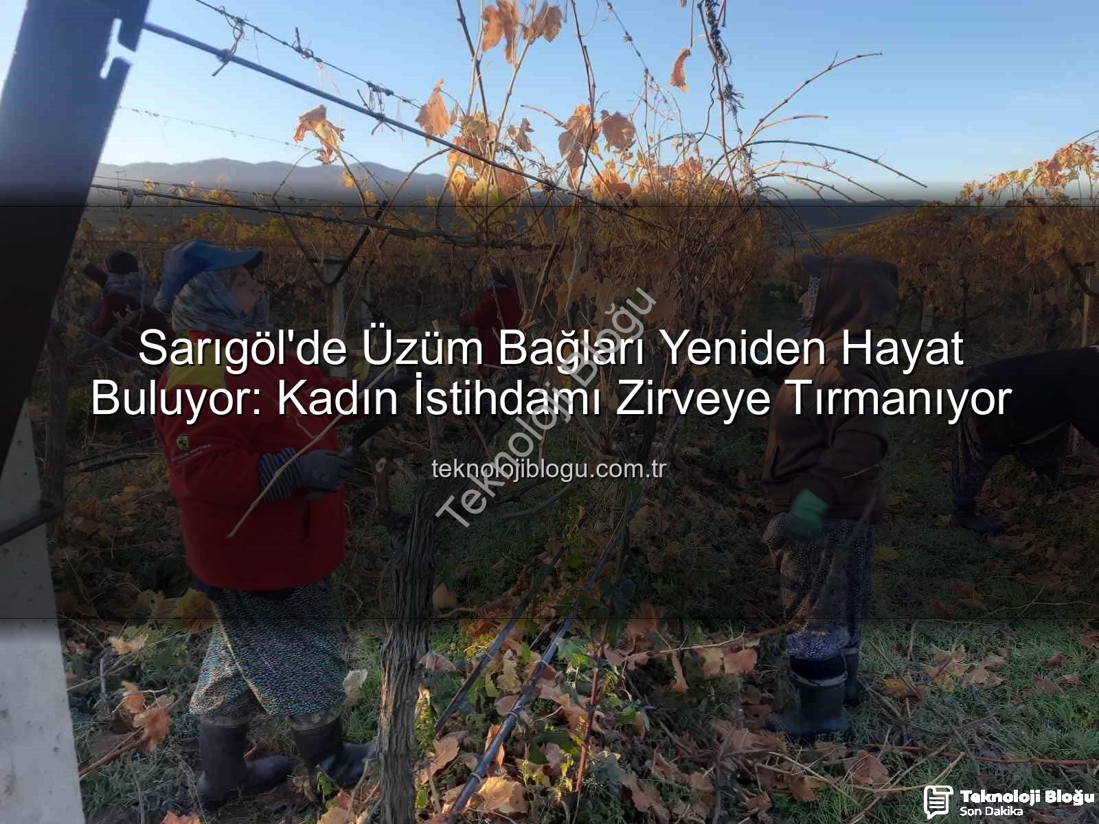 Sarıgöl'de Üzüm Bağları Yeniden Hayat Buluyor: Kadın İstihdamı Zirveye Tırmanıyor