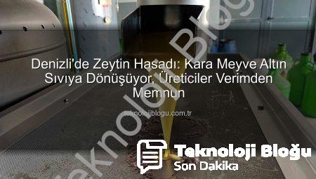 Denizli’de Zeytin Hasadı: Kara Meyve Altın Sıvıya Dönüşüyor, Üreticiler Verimden Memnun
