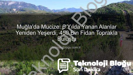Muğla’da Mucize: 6 Yılda Yanan Alanlar Yeniden Yeşerdi, 450 Bin Fidan Toprakla Buluştu