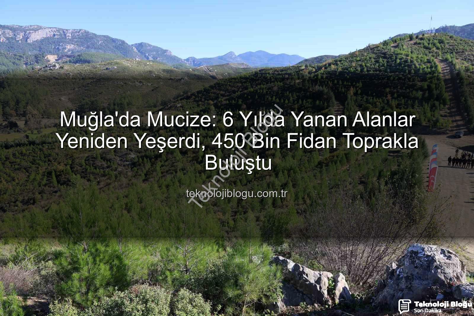 orman yangınları sonrası ağaçlandırma - Muğla'da Mucize: 6 Yılda Yanan Alanlar Yeniden Yeşerdi, 450 Bin Fidan Toprakla Buluştu